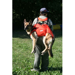 Imbragatura cane da soccorso Alp Design