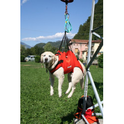 Imbragatura cane da soccorso Alp Design