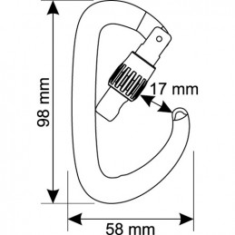 Moschettone asimmetrico Orbit Lock - CAMP