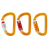 Moschettone asimmetrico Sm'D SL, RL e TL - PETZL